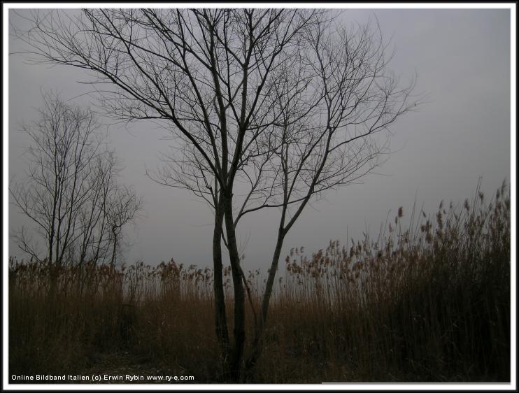 You have reached the last slide