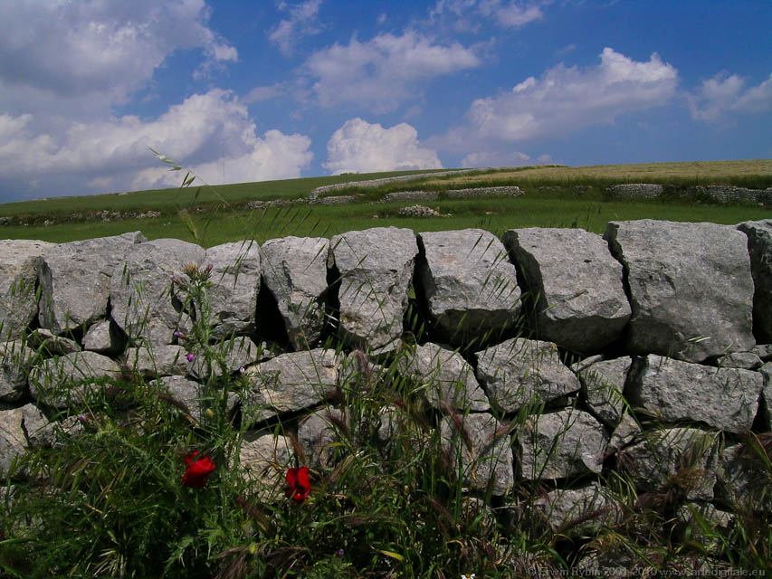 Giarratana_19_050524
