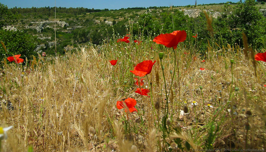 Pantalica_11_050524