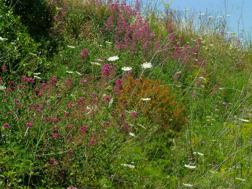 Pantalica_15_050524