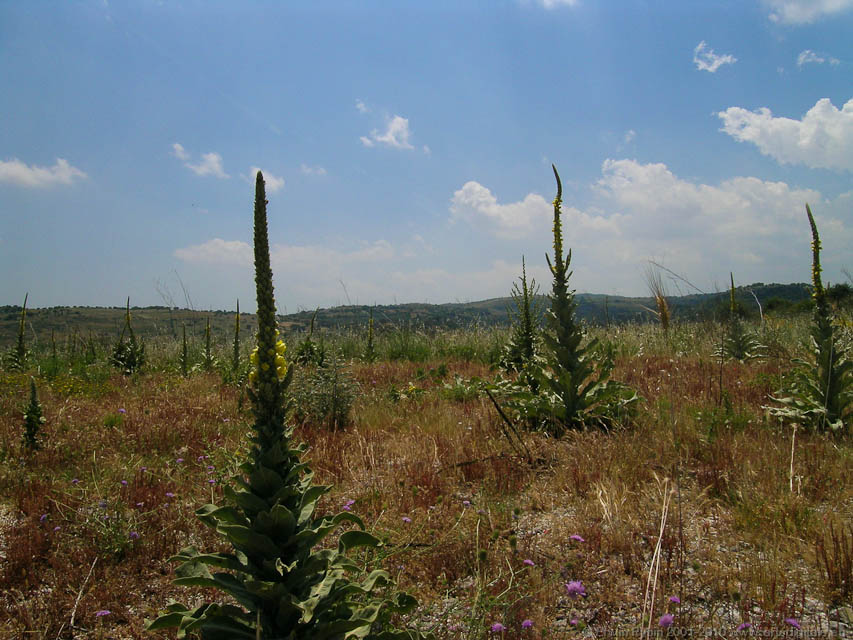 Pantalica_16_050524
