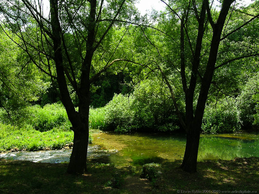 Petracca_39_050525