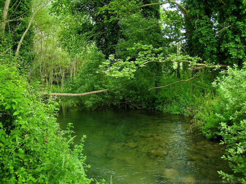 Petracca_40_050525