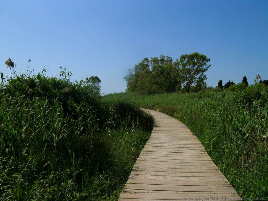 Vendicari_31_050525