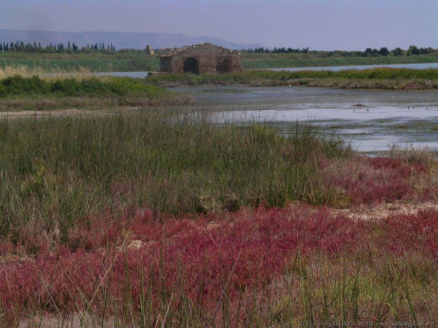 Vendicari_33_050525