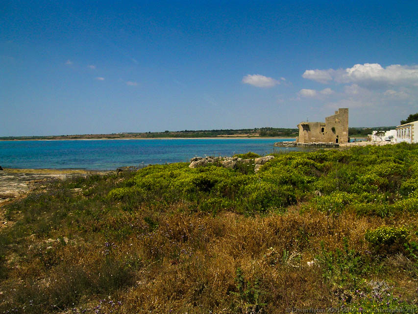 Vendicari_36_050525