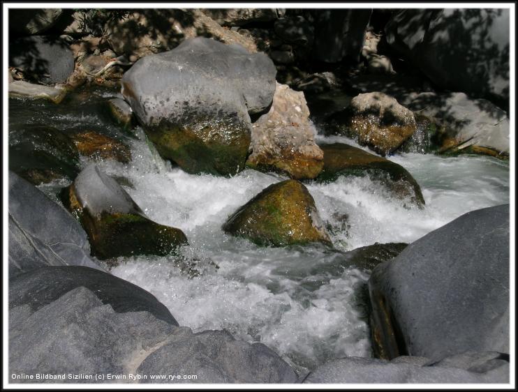 You have reached the last slide