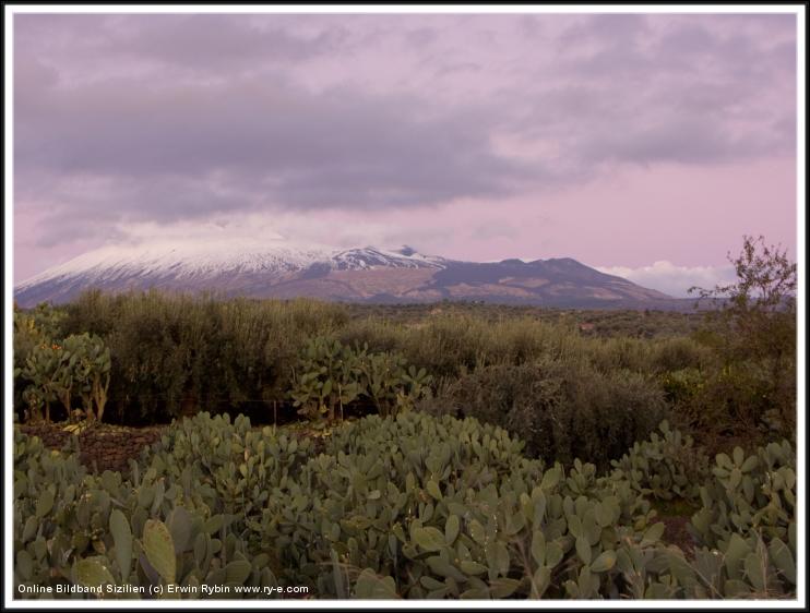 You have reached the last slide