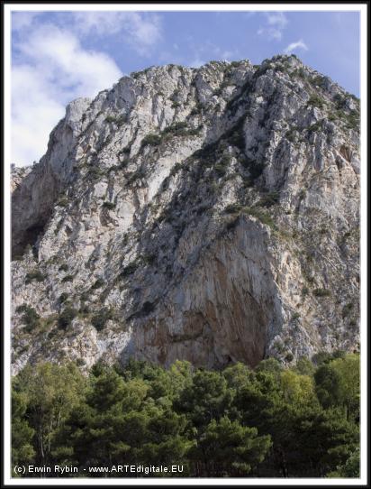 You have reached the last slide