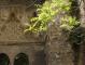 sicily_palermo_615