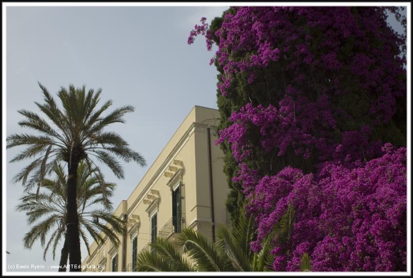 You have reached the last slide