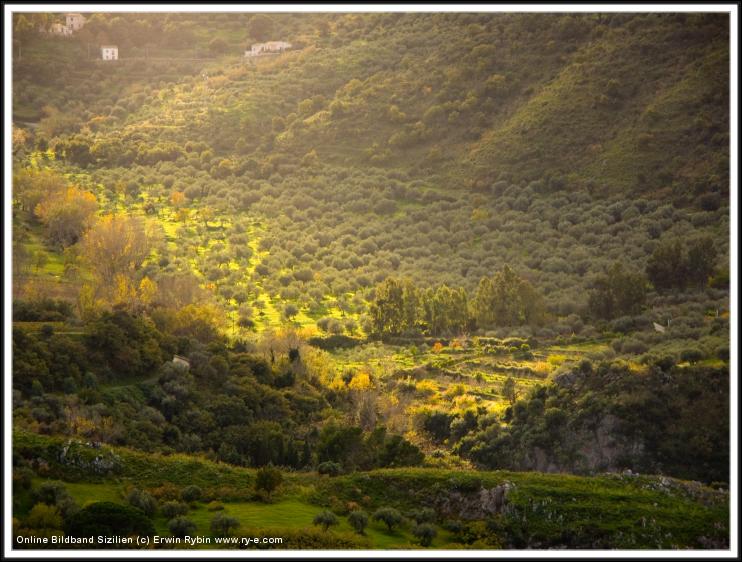 You have reached the last slide