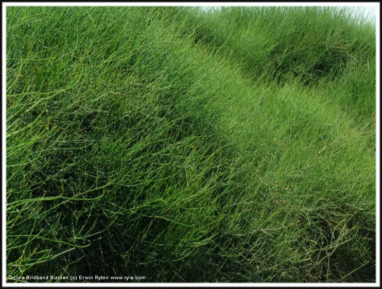 You have reached the last slide