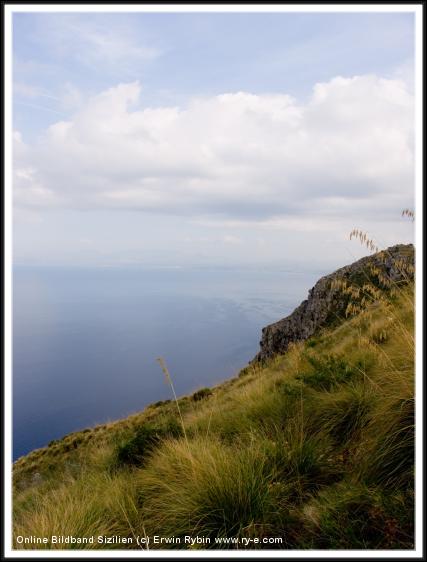 You have reached the last slide