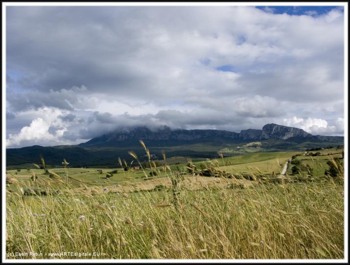 You have reached the last slide