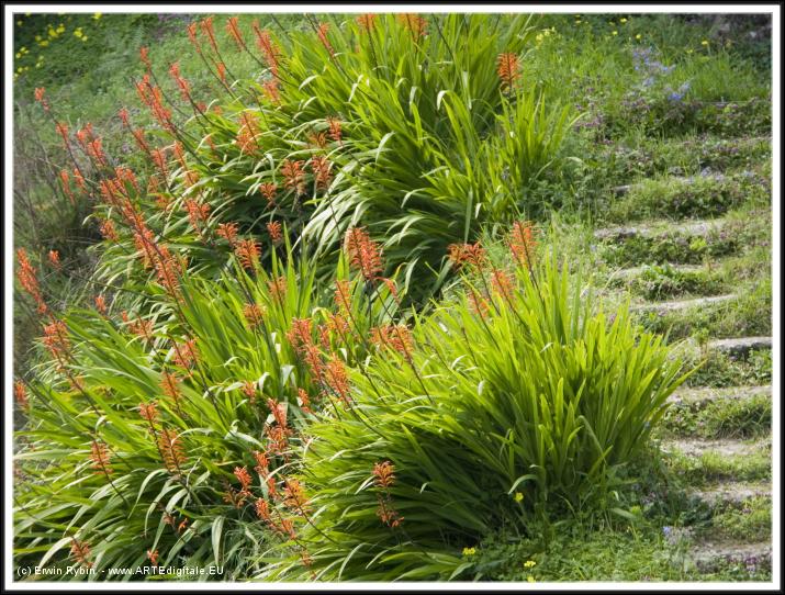 You have reached the last slide