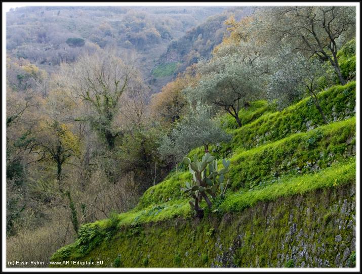 You have reached the last slide