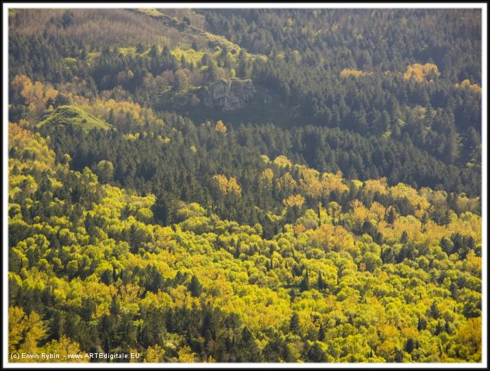 You have reached the last slide