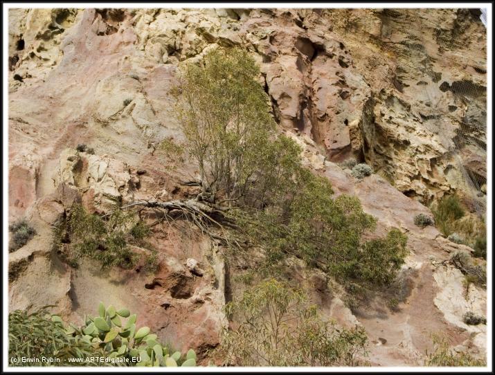 You have reached the last slide