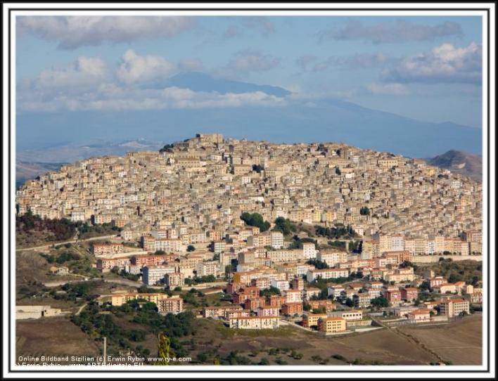 You have reached the last slide