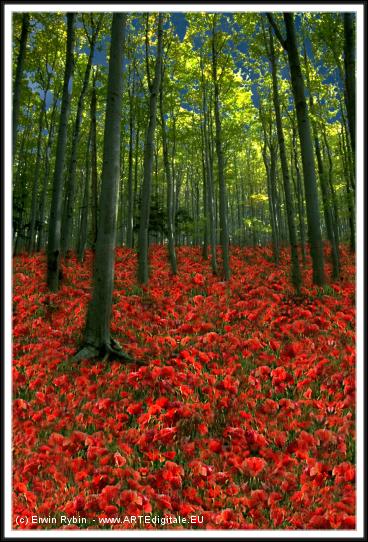 You have reached the last slide